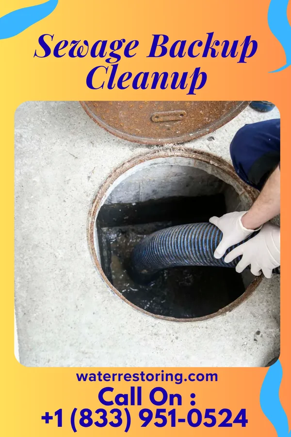 Sewage Backup Cleanup in Kings, IL